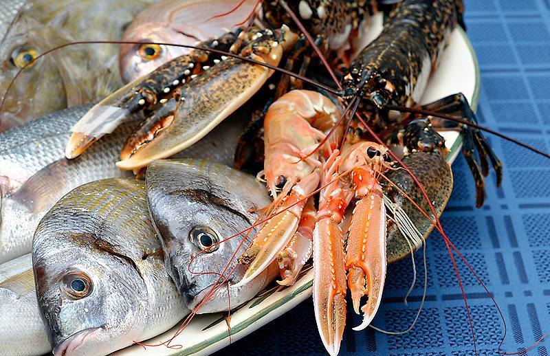 Riblji specijaliteti u Konobi Nando Istra